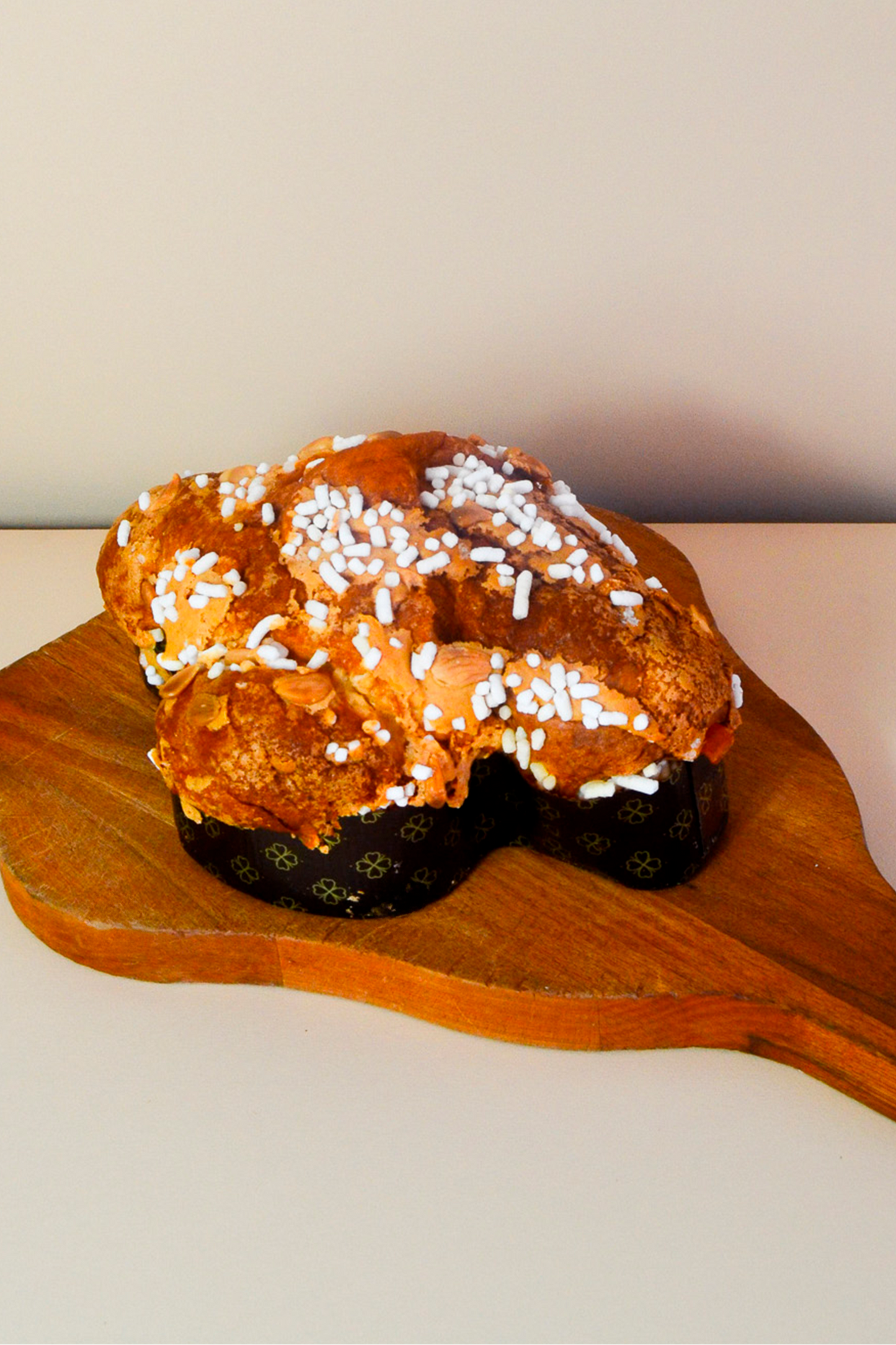 Colomba classica