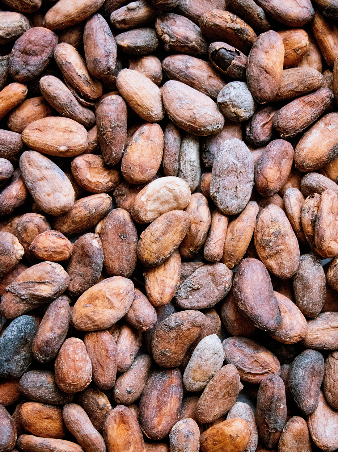 Cioccolato fondente 80%