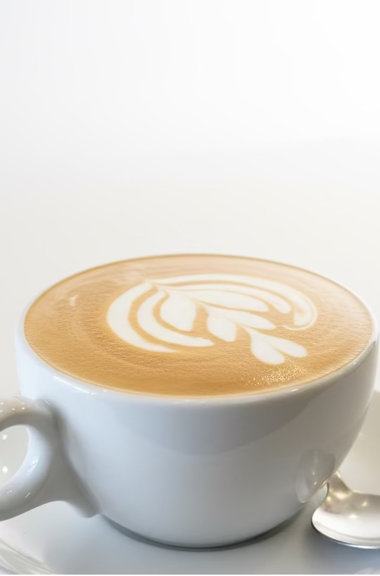 Caffè Decaffeinato Swiss Water Process