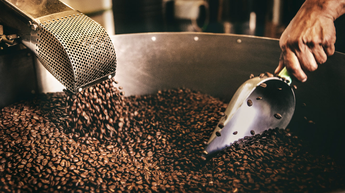 Caffè Etiopia Sidamo Guji Gr 1